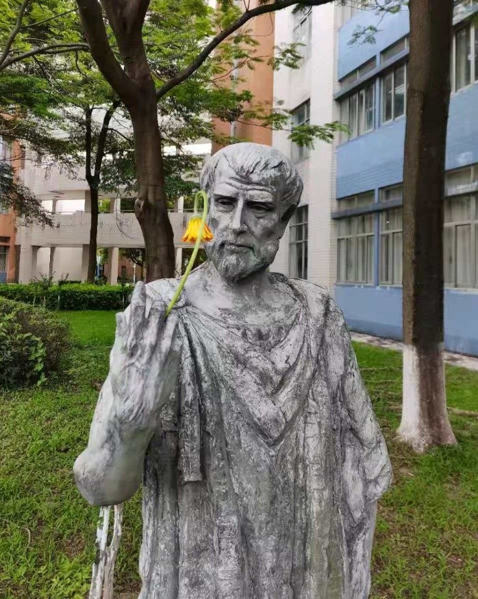 伟德bv国际体育